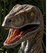 Avatar du membre